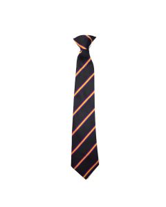 Kingsley Academy Tie
