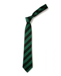 Oak Hill Academy Tie