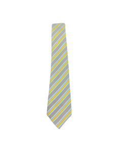 Nishkam High School Tie