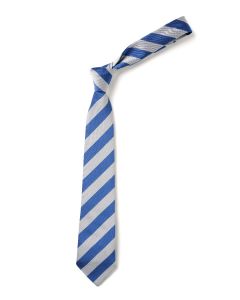 Pembridge CE Tie