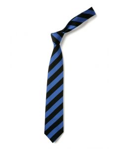Oriel Academy Tie
