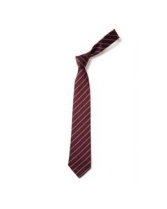 St Pauls Catholic College School Tie