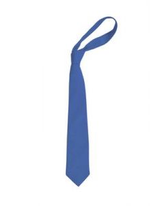 Richmond Park Academy Tie