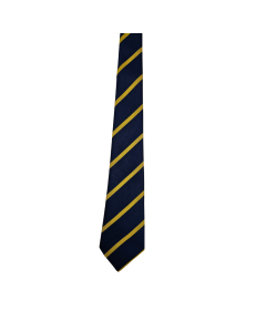 Hounslow Heath Tie- YEAR 6 ONLY